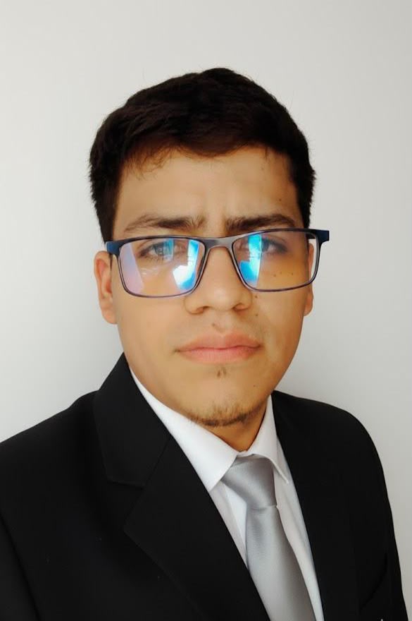 Michael Guerra - Practicante de Programación
