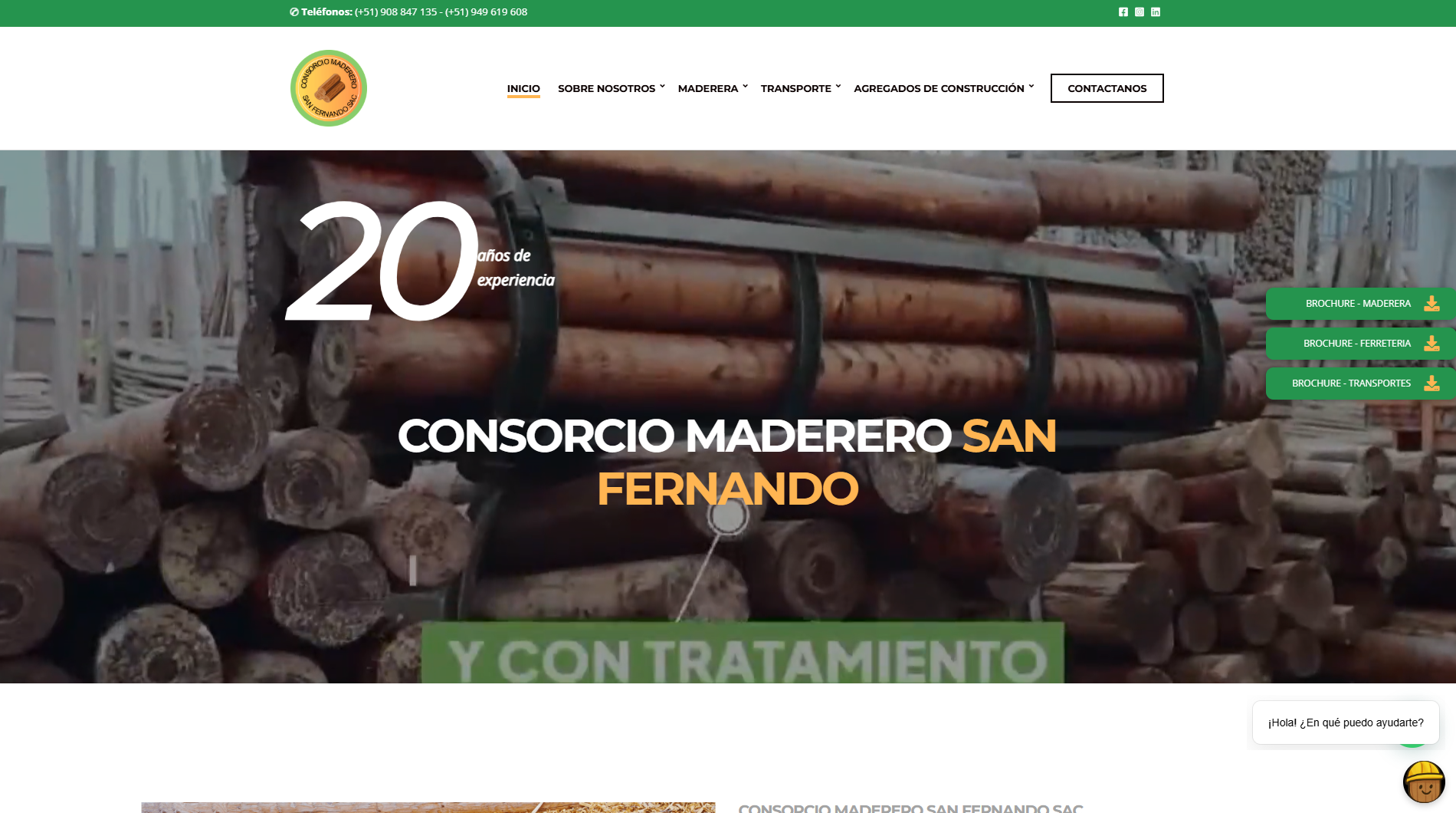 Vista previa del sitio web de Consorcio Maderero San Fernando