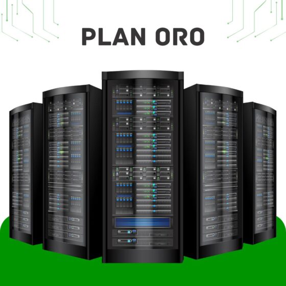 Plan Oro